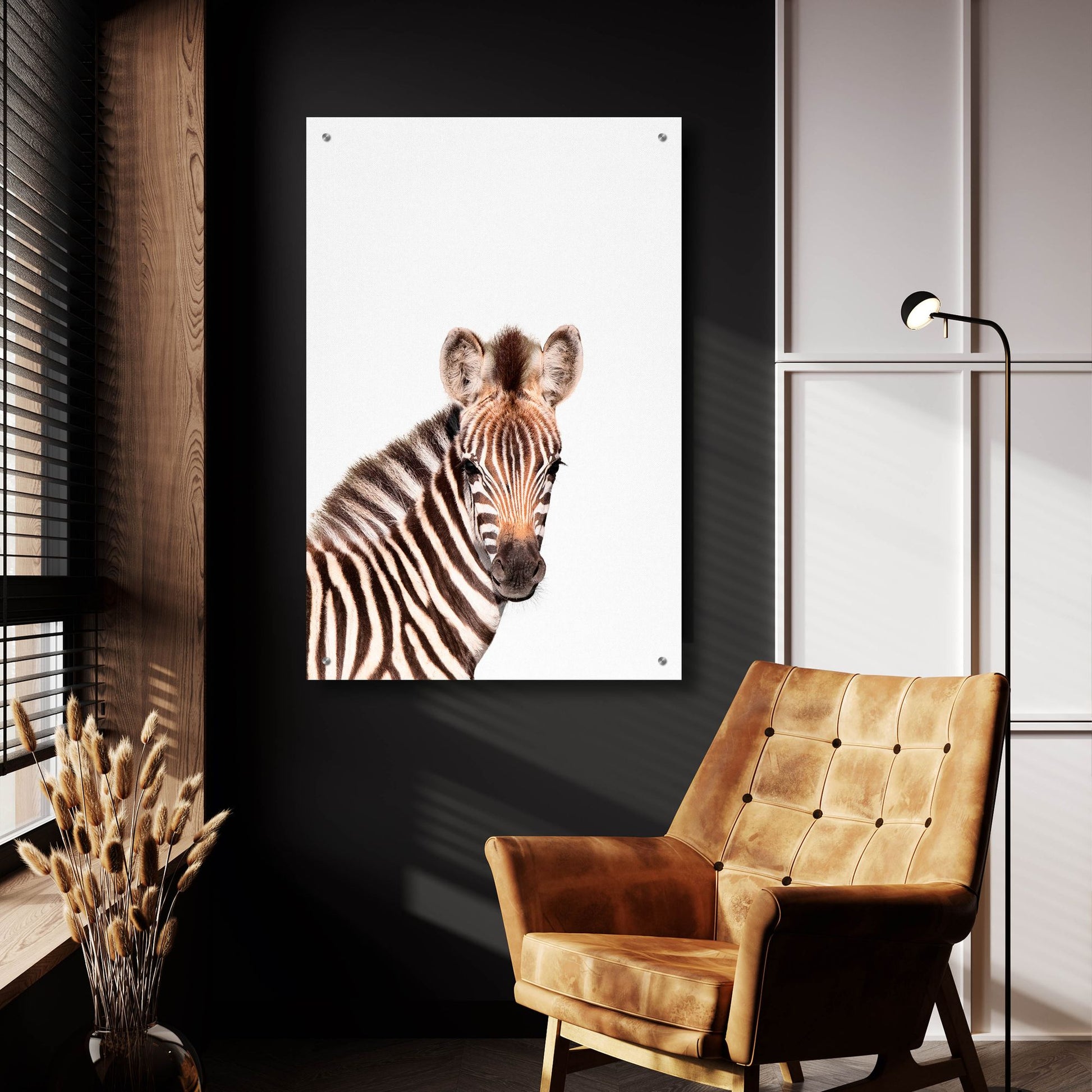 Epic Art 'Baby Zebra' by Tai Prints, Acrylic Glass Wall Art,24x36