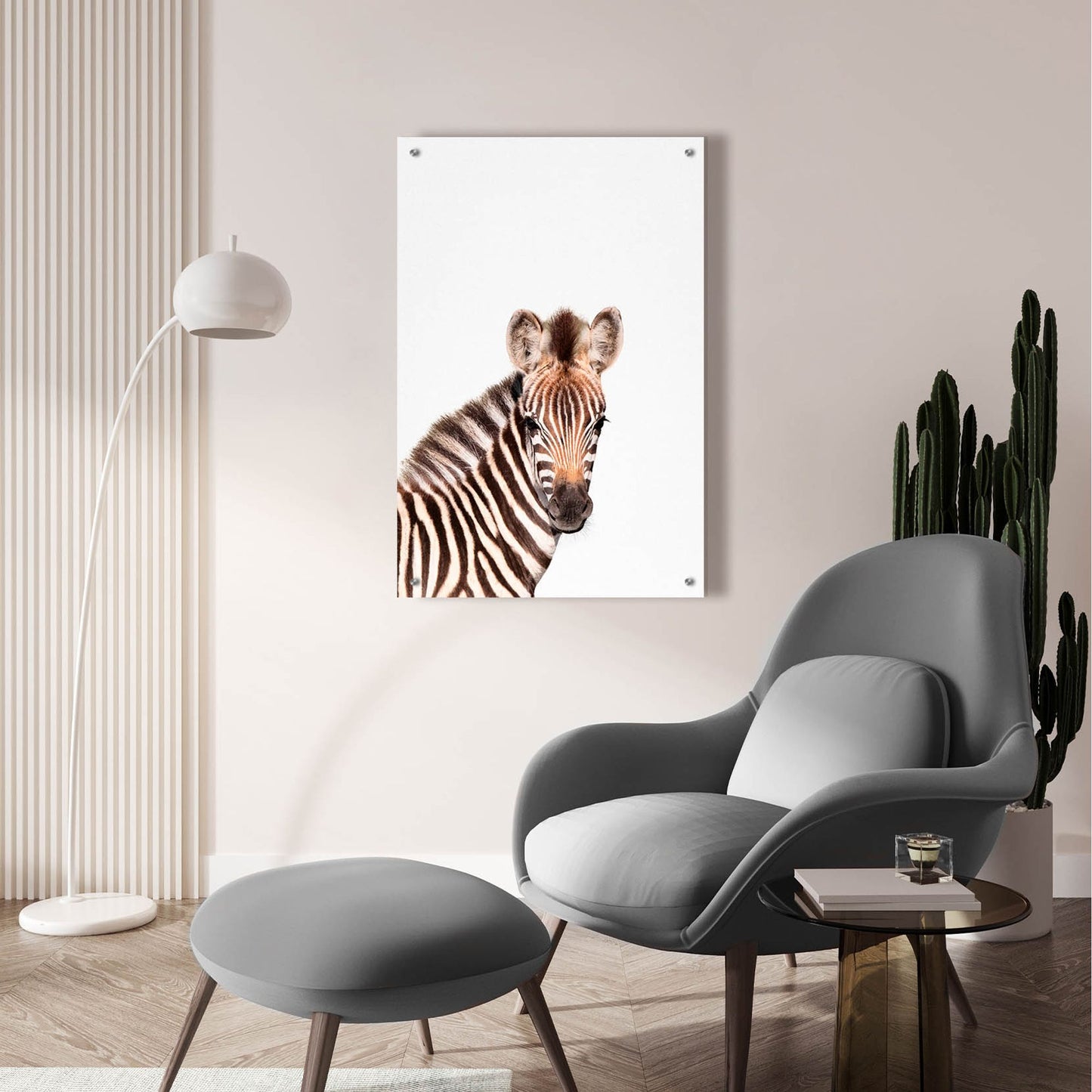 Epic Art 'Baby Zebra' by Tai Prints, Acrylic Glass Wall Art,24x36