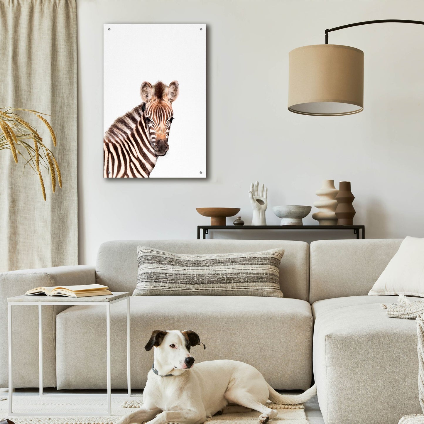 Epic Art 'Baby Zebra' by Tai Prints, Acrylic Glass Wall Art,24x36