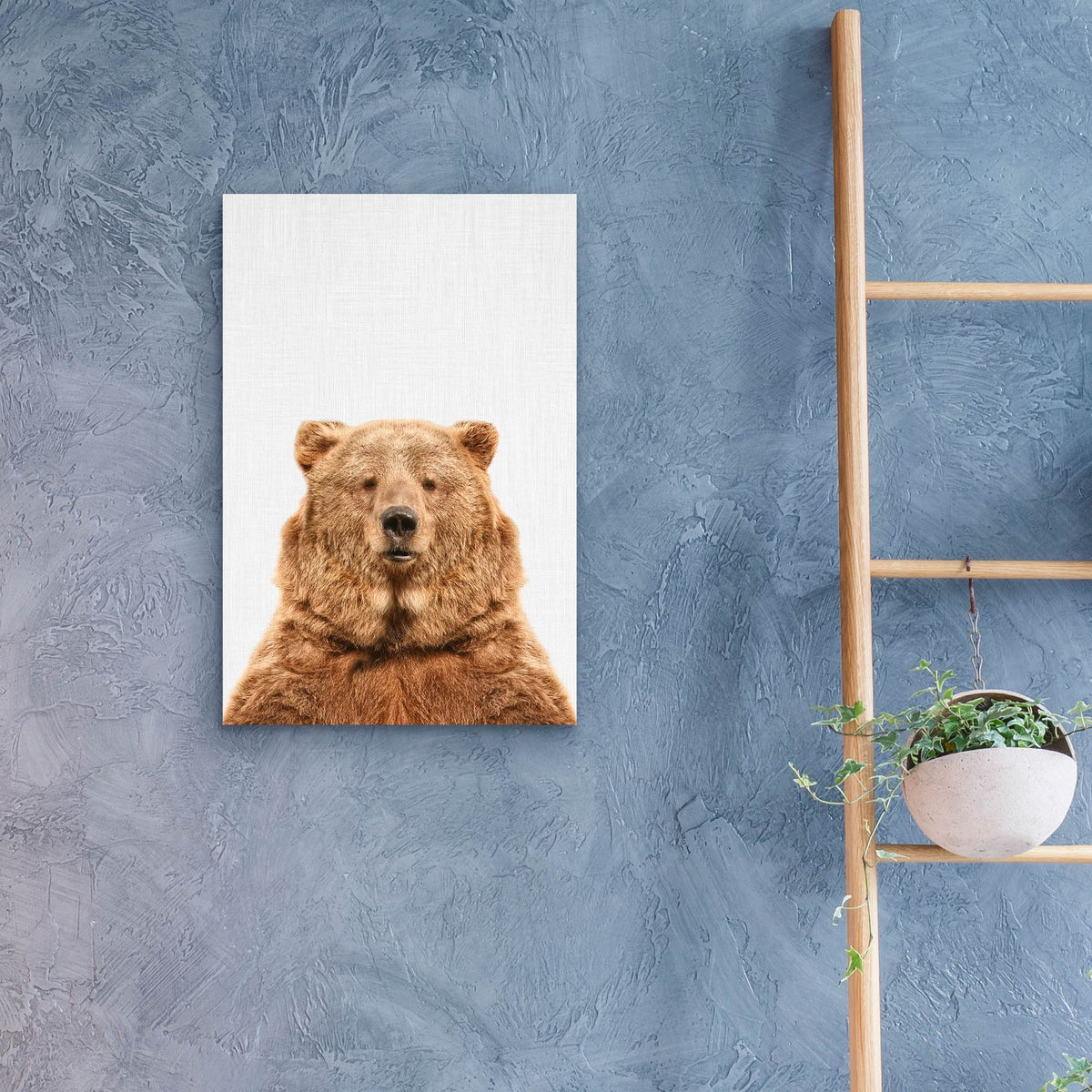 Epic Art 'Bear' by Tai Prints, Acrylic Glass Wall Art,16x24