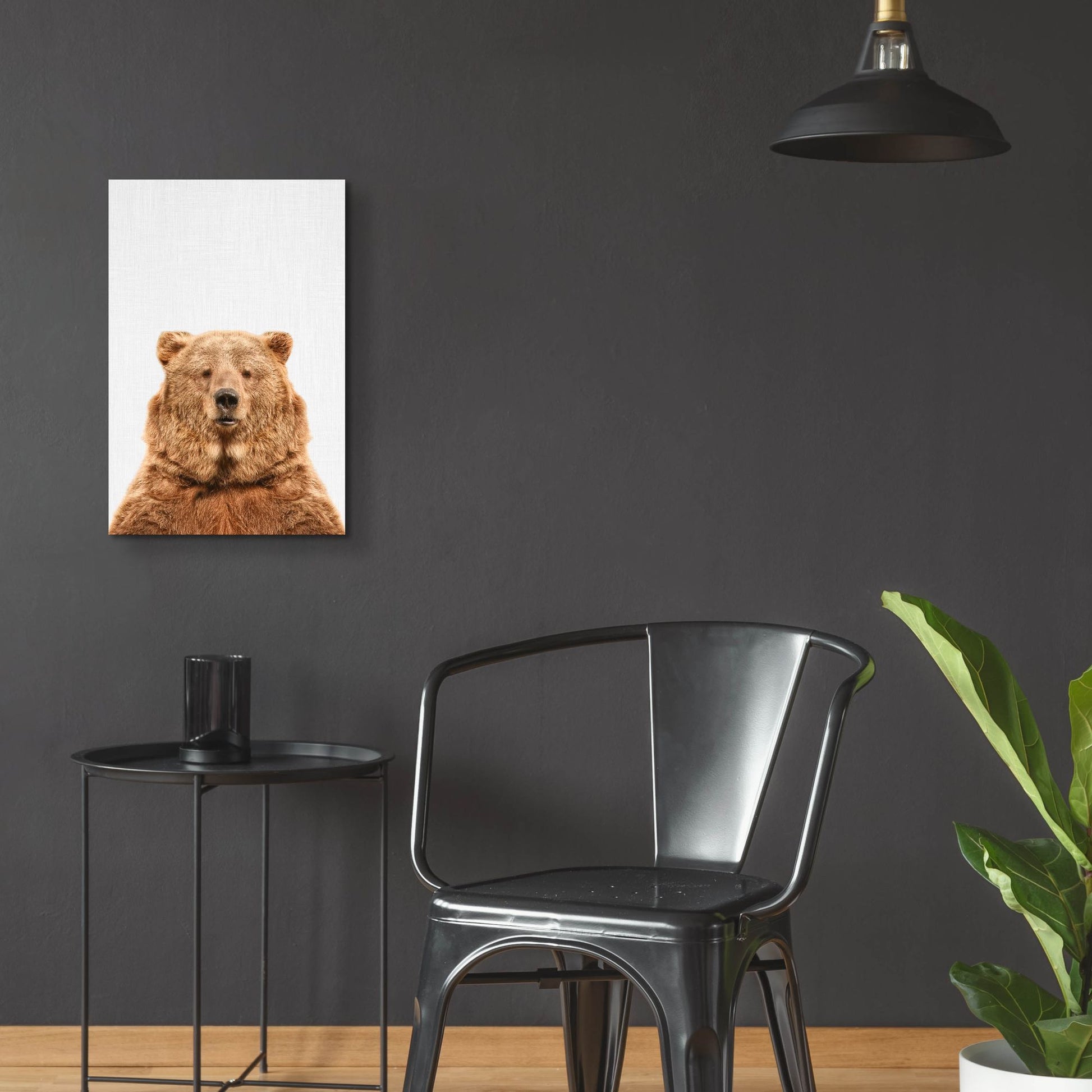 Epic Art 'Bear' by Tai Prints, Acrylic Glass Wall Art,16x24