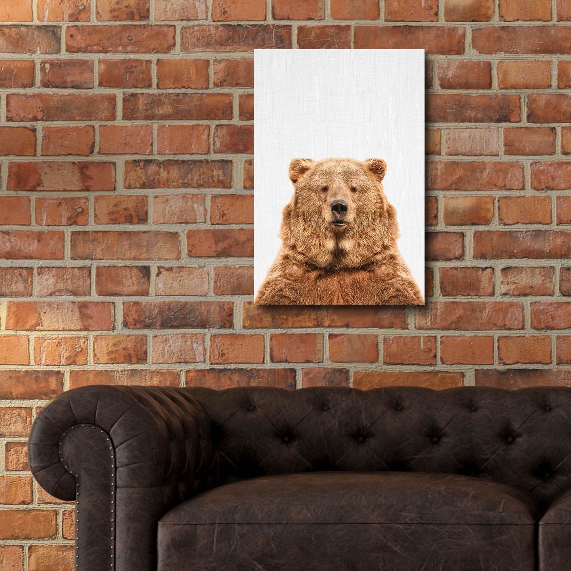 Epic Art 'Bear' by Tai Prints, Acrylic Glass Wall Art,16x24