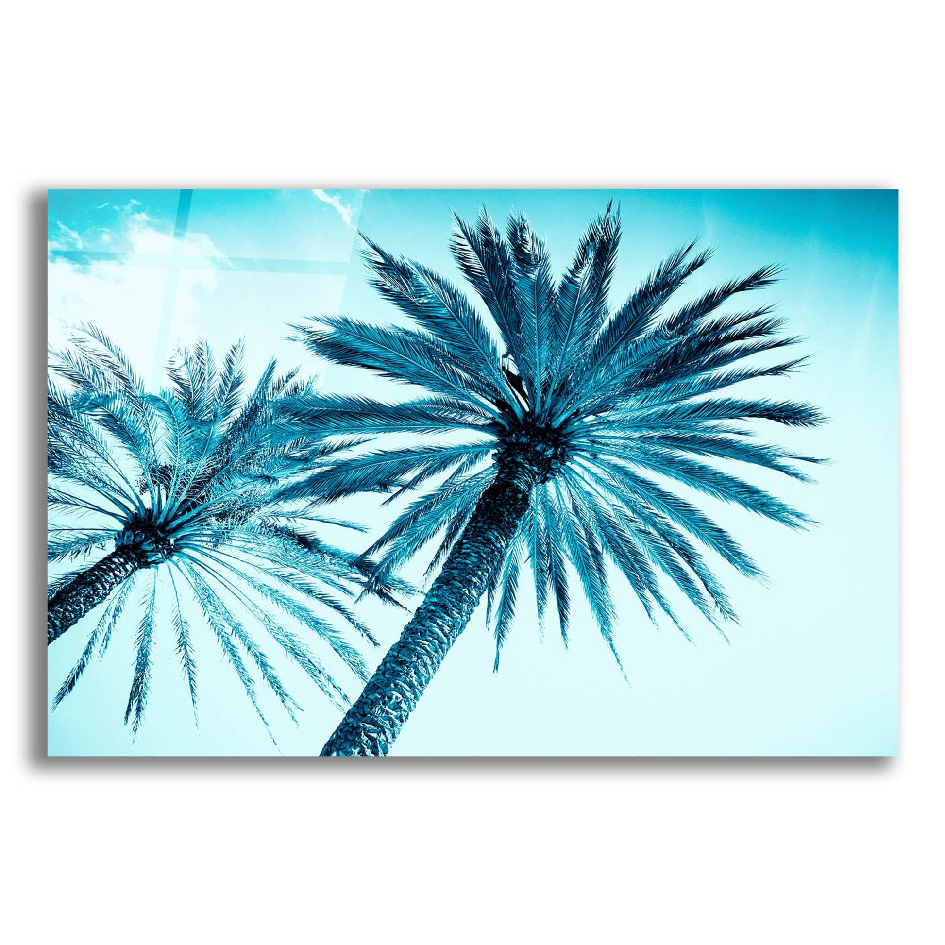 Epic Art 'Chic Palms' by Tai Prints, Acrylic Glass Wall Art,24x16