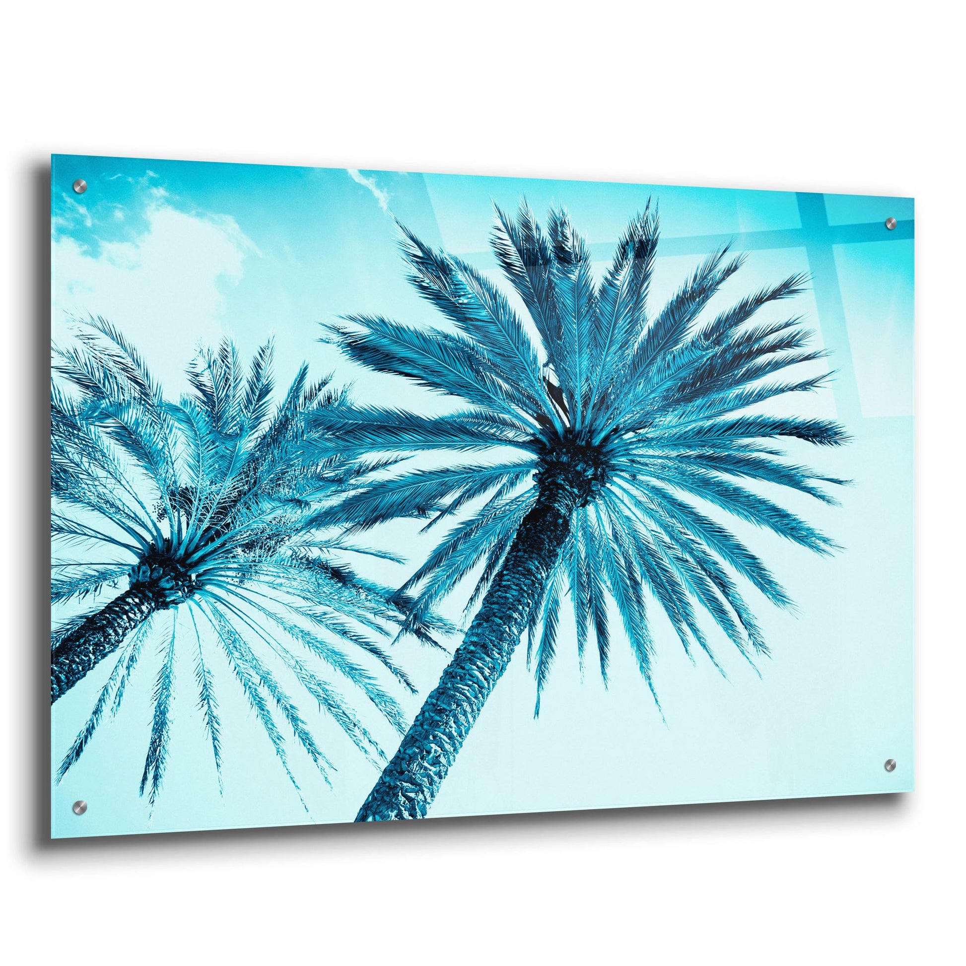 Epic Art 'Chic Palms' by Tai Prints, Acrylic Glass Wall Art,36x24