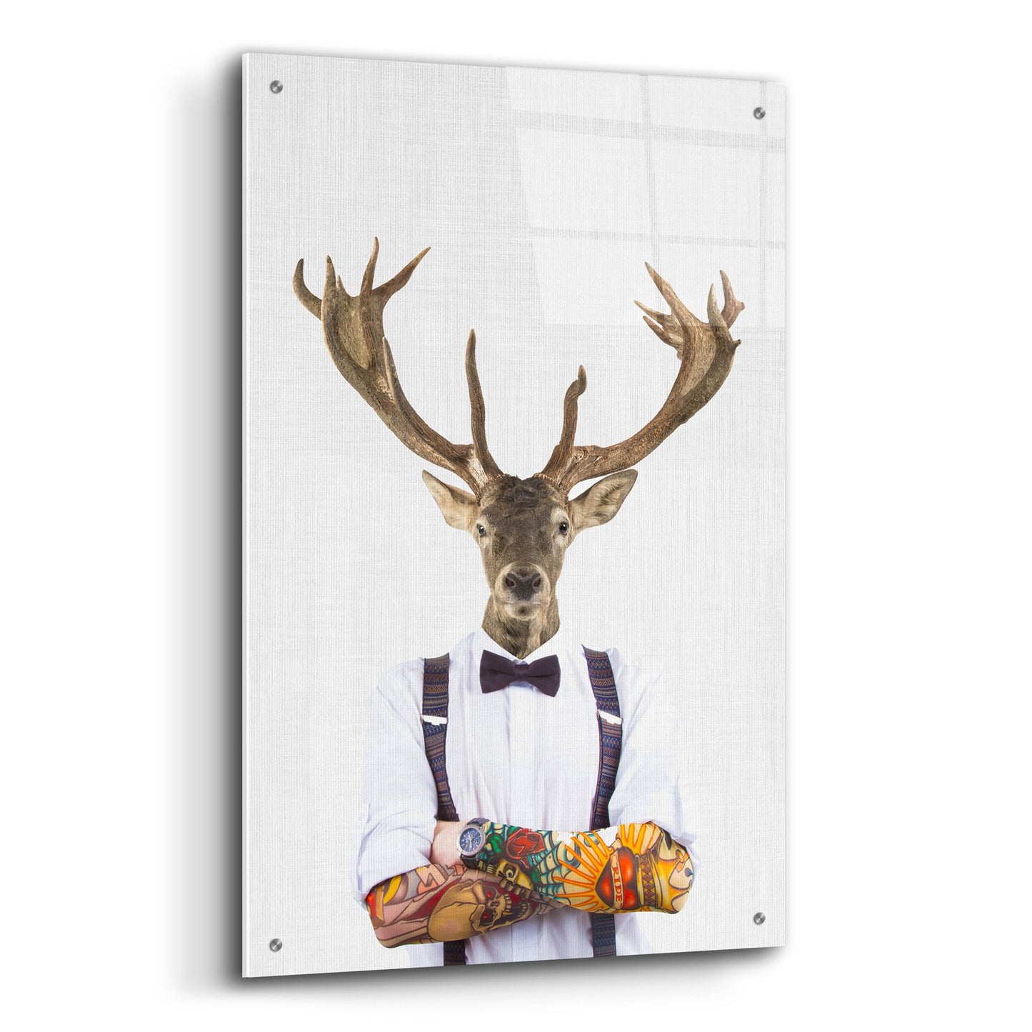 Epic Art 'Deer Man' by Tai Prints, Acrylic Glass Wall Art,24x36