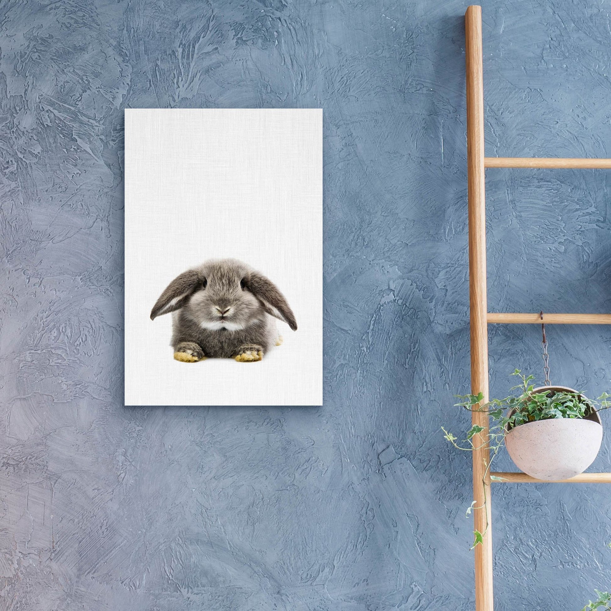 Epic Art 'Rabbit Ii' by Tai Prints, Acrylic Glass Wall Art,16x24