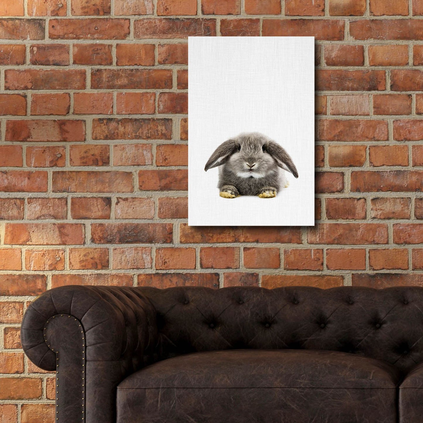 Epic Art 'Rabbit Ii' by Tai Prints, Acrylic Glass Wall Art,16x24