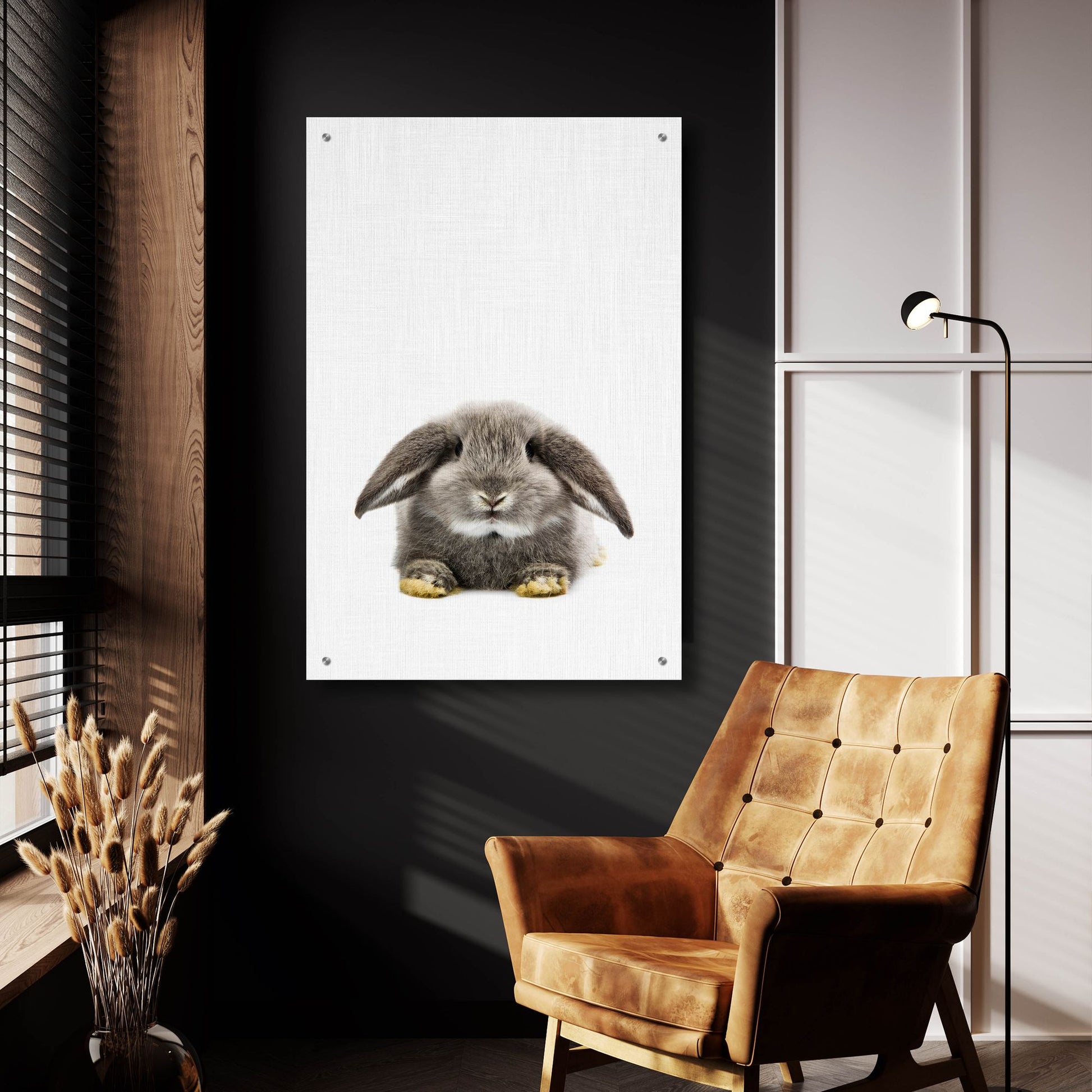 Epic Art 'Rabbit Ii' by Tai Prints, Acrylic Glass Wall Art,24x36