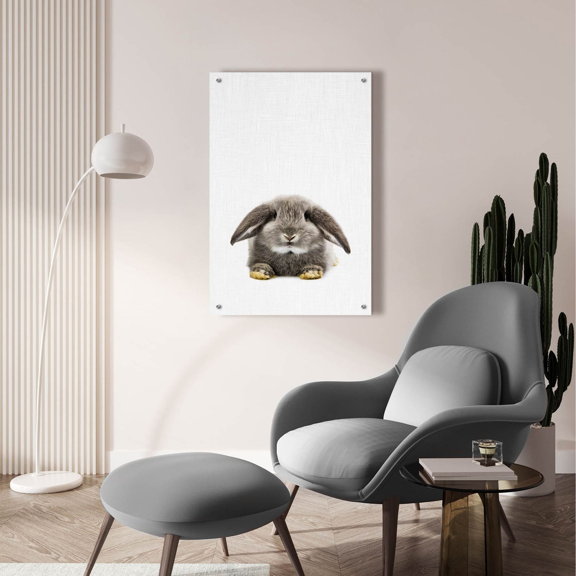 Epic Art 'Rabbit Ii' by Tai Prints, Acrylic Glass Wall Art,24x36