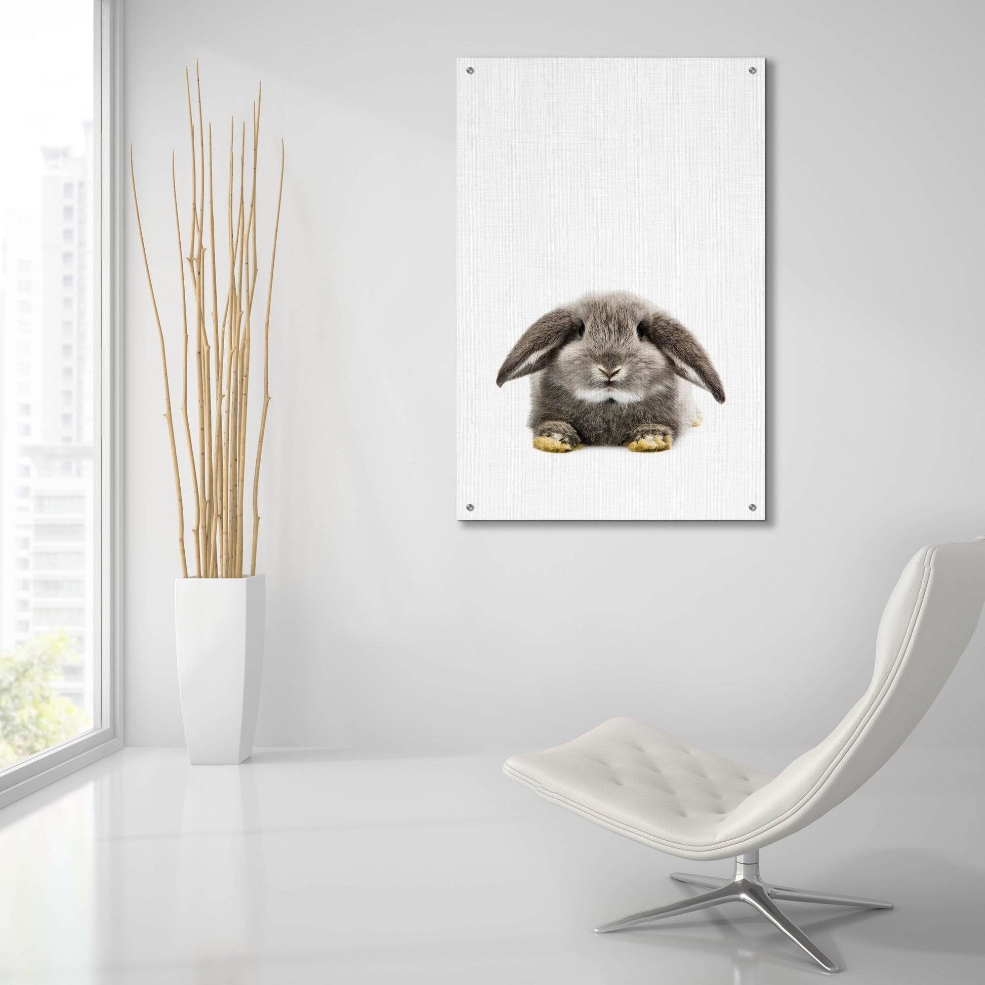 Epic Art 'Rabbit Ii' by Tai Prints, Acrylic Glass Wall Art,24x36