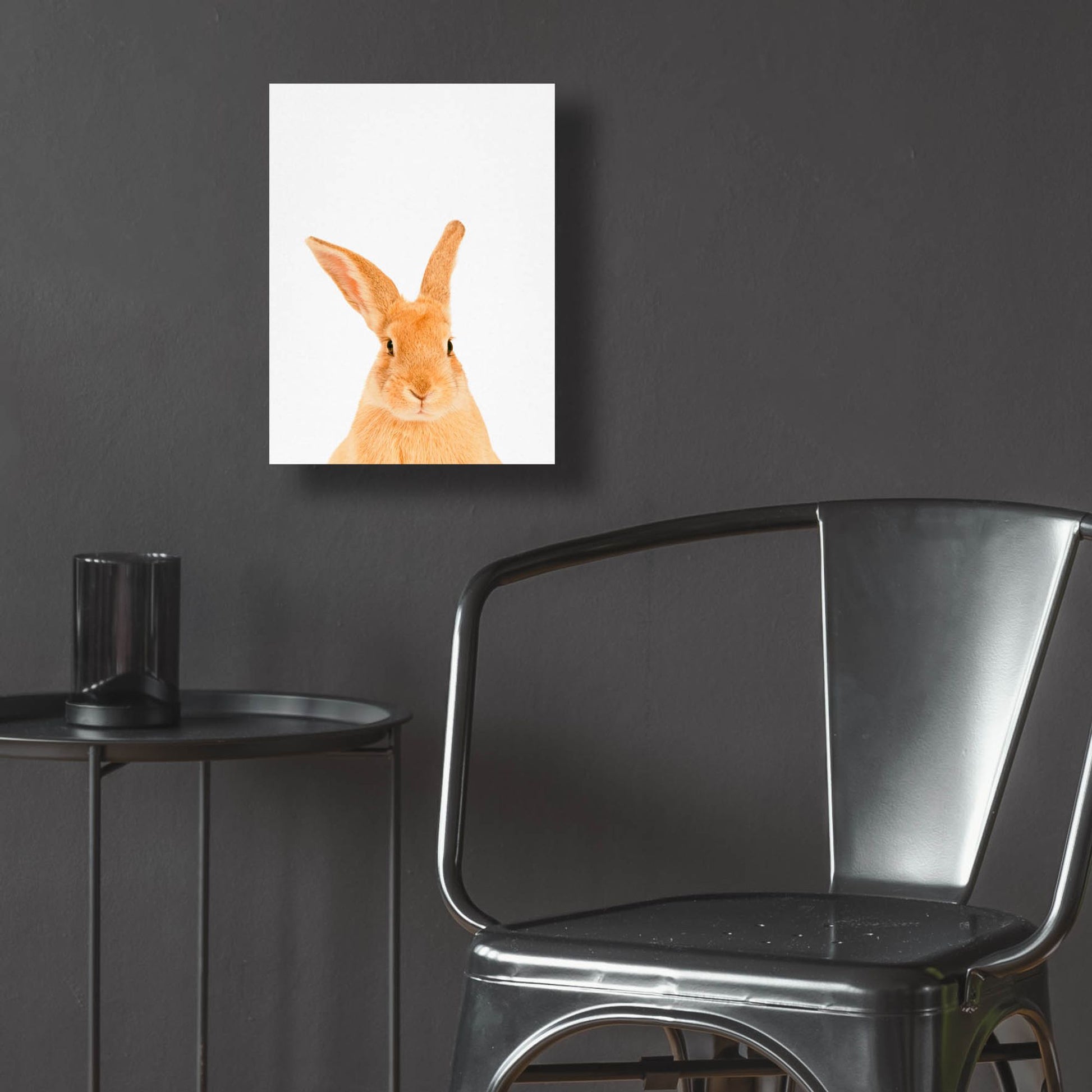 Epic Art 'Rabbit' by Tai Prints, Acrylic Glass Wall Art,12x16