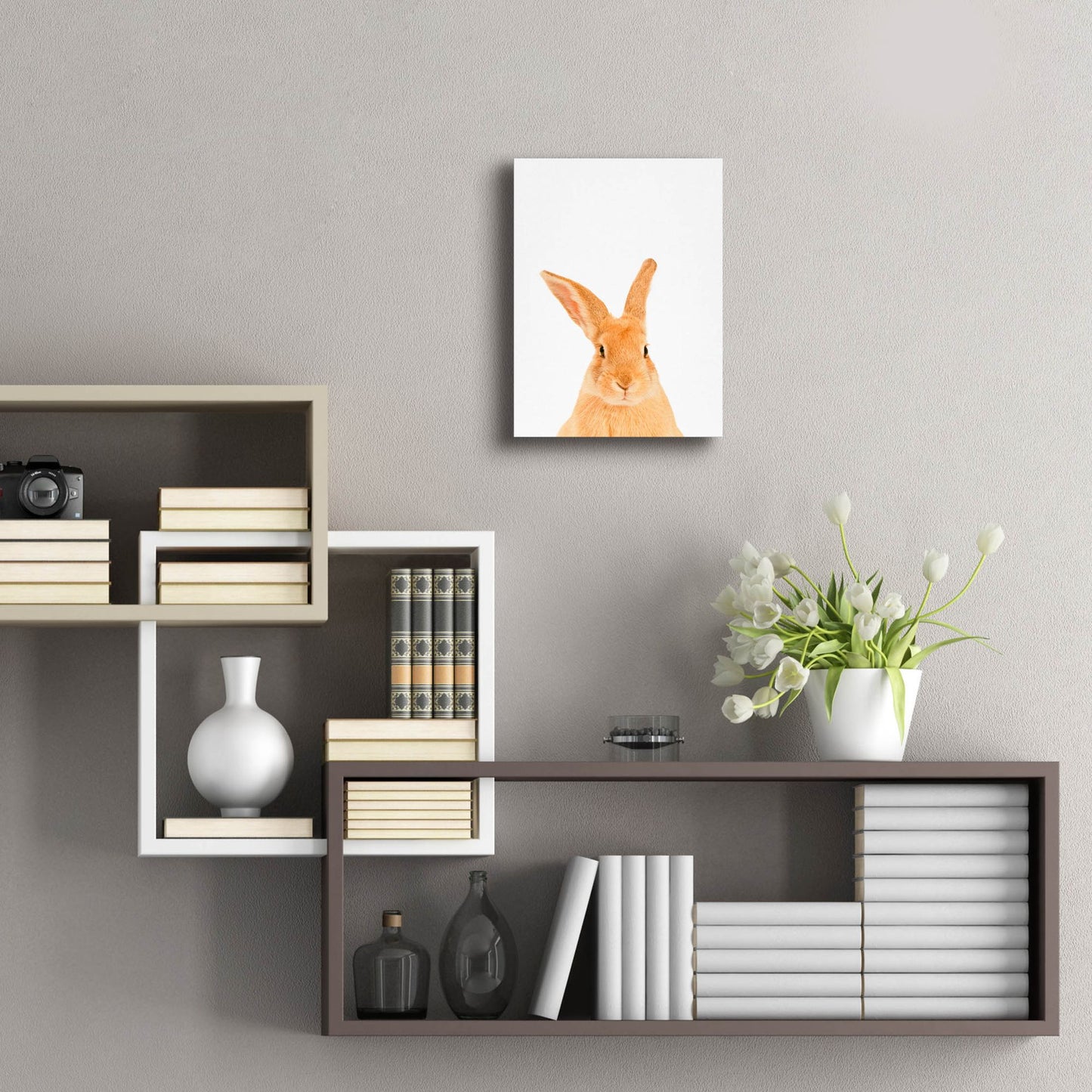 Epic Art 'Rabbit' by Tai Prints, Acrylic Glass Wall Art,12x16