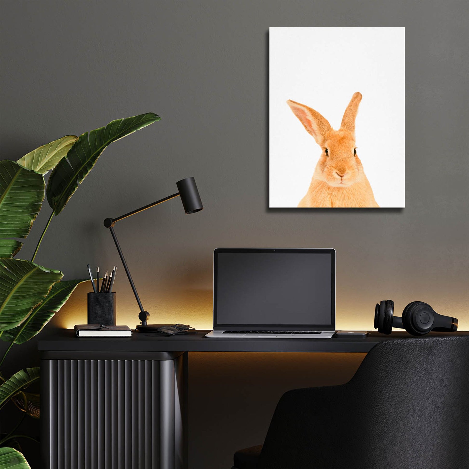 Epic Art 'Rabbit' by Tai Prints, Acrylic Glass Wall Art,12x16