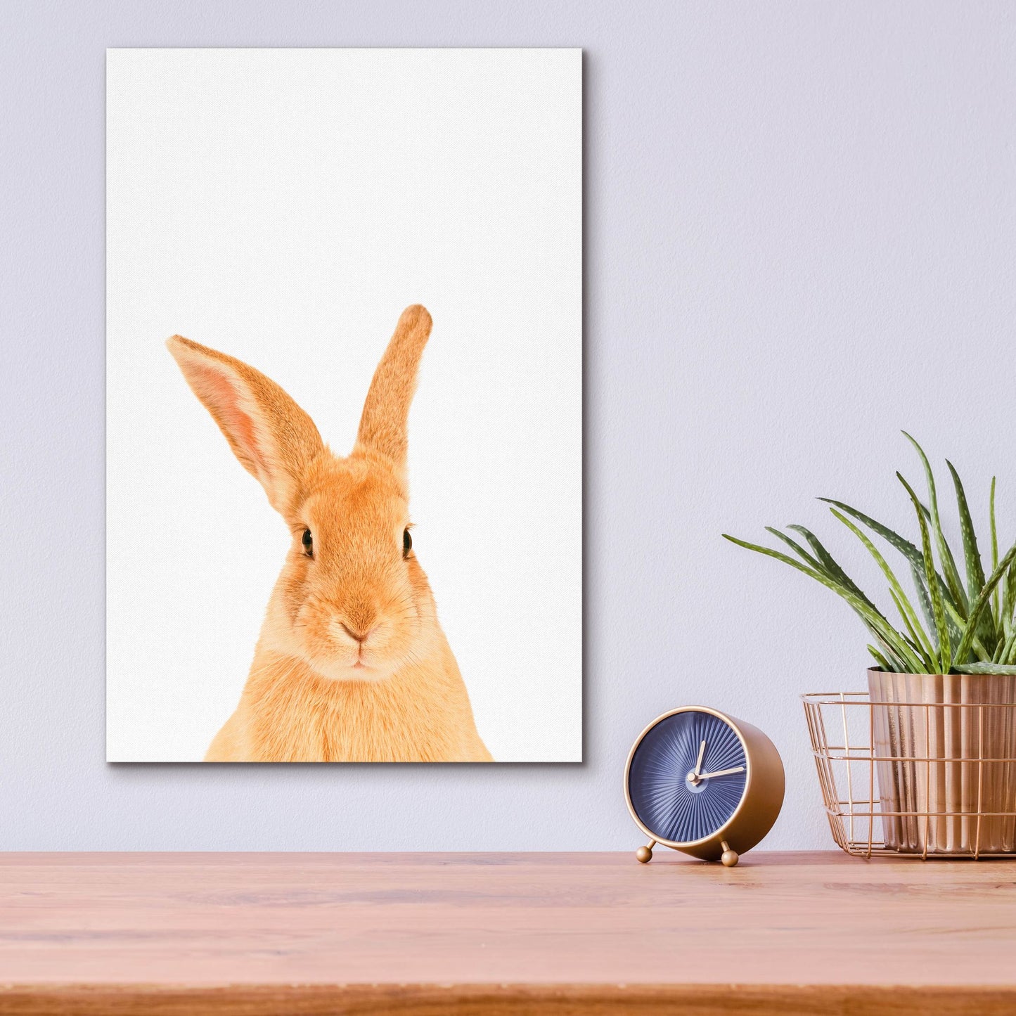 Epic Art 'Rabbit' by Tai Prints, Acrylic Glass Wall Art,12x16