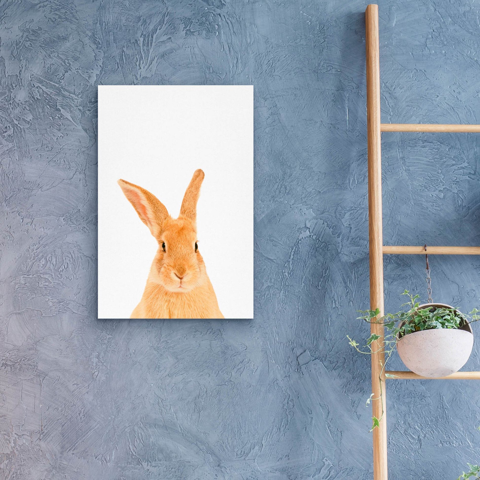 Epic Art 'Rabbit' by Tai Prints, Acrylic Glass Wall Art,16x24