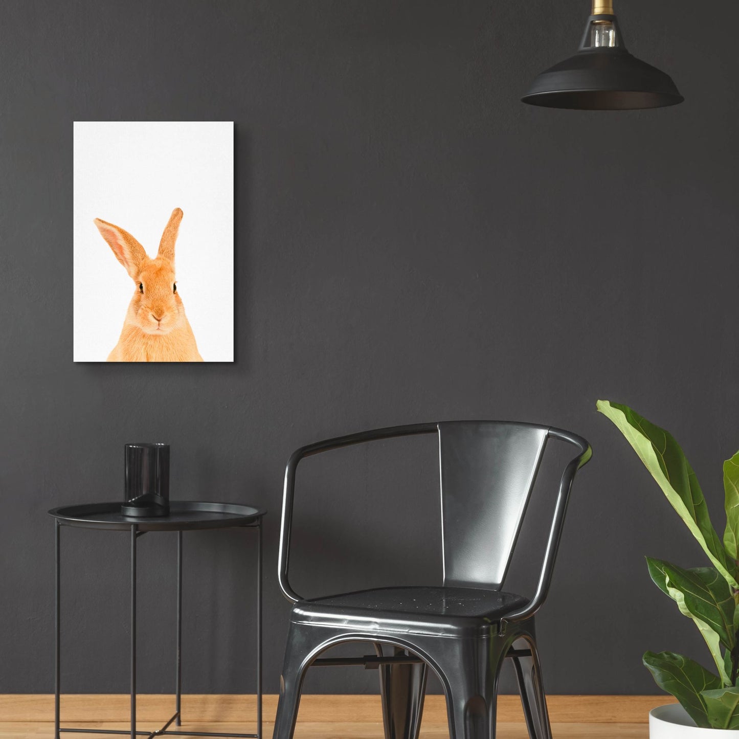 Epic Art 'Rabbit' by Tai Prints, Acrylic Glass Wall Art,16x24