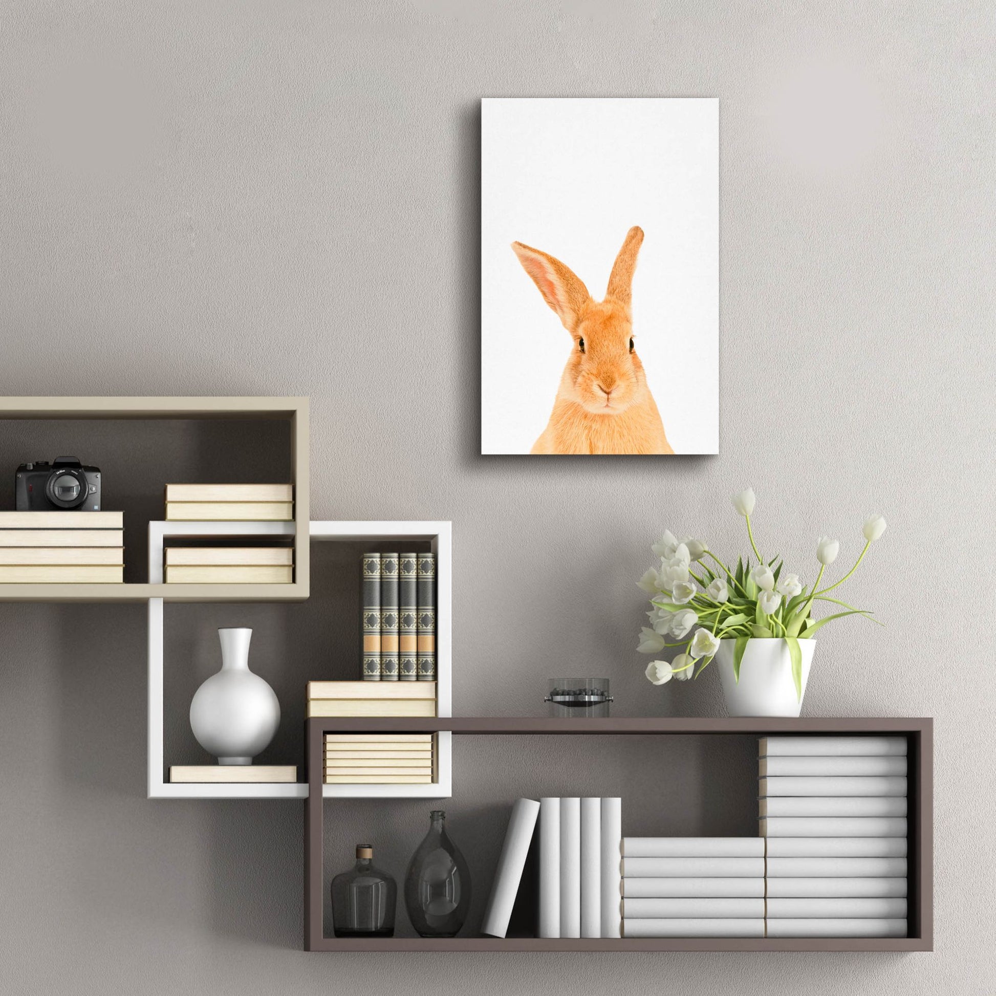 Epic Art 'Rabbit' by Tai Prints, Acrylic Glass Wall Art,16x24