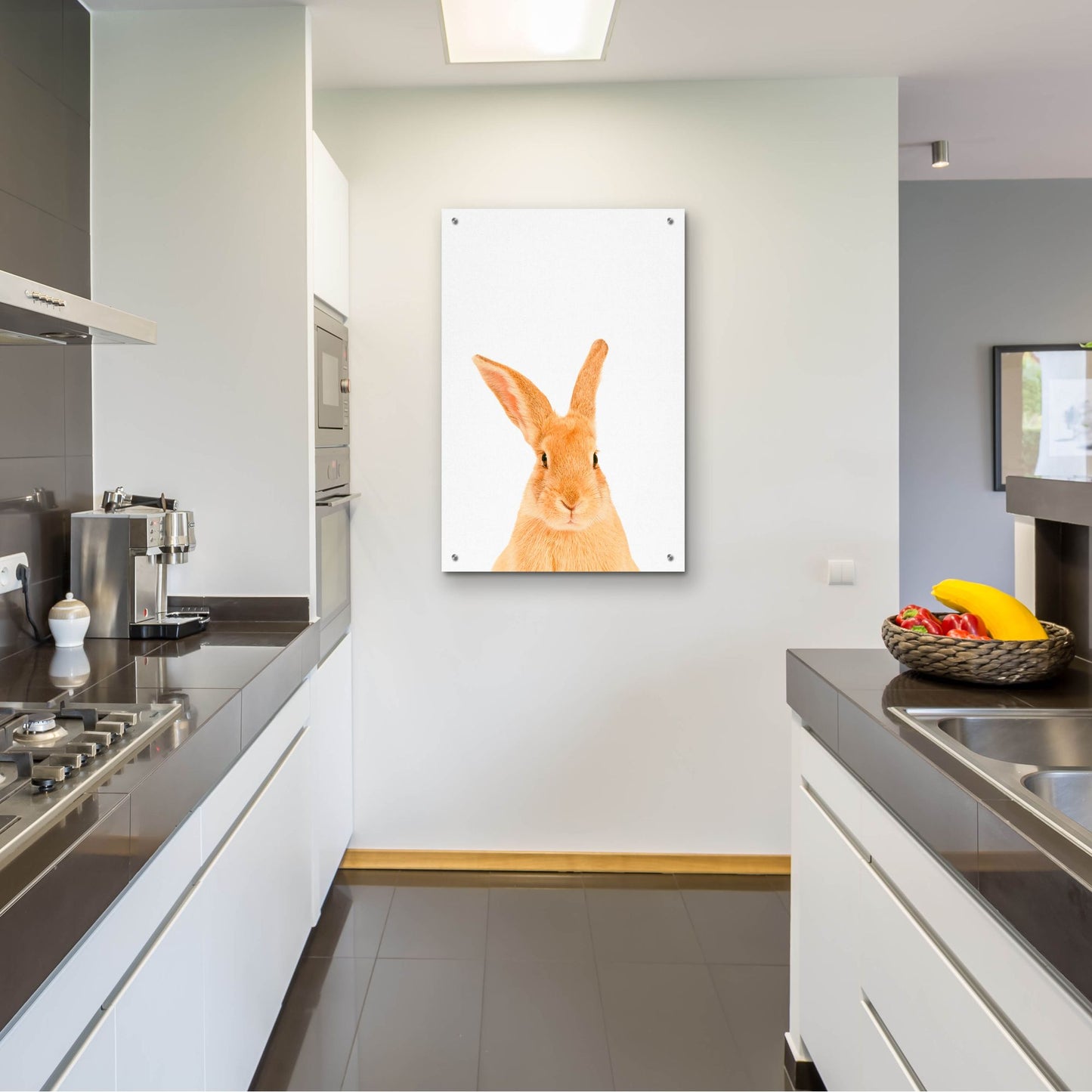 Epic Art 'Rabbit' by Tai Prints, Acrylic Glass Wall Art,24x36