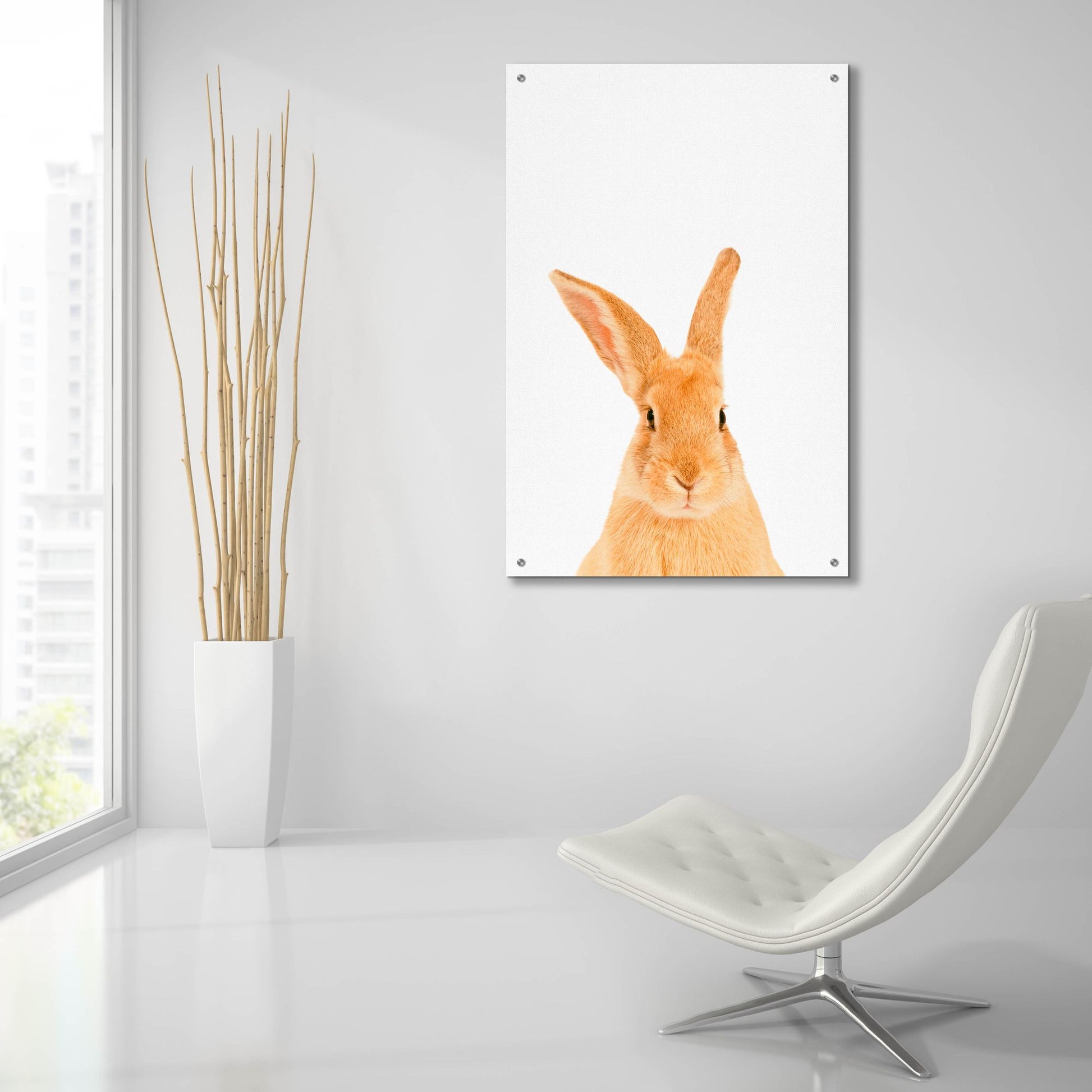 Epic Art 'Rabbit' by Tai Prints, Acrylic Glass Wall Art,24x36