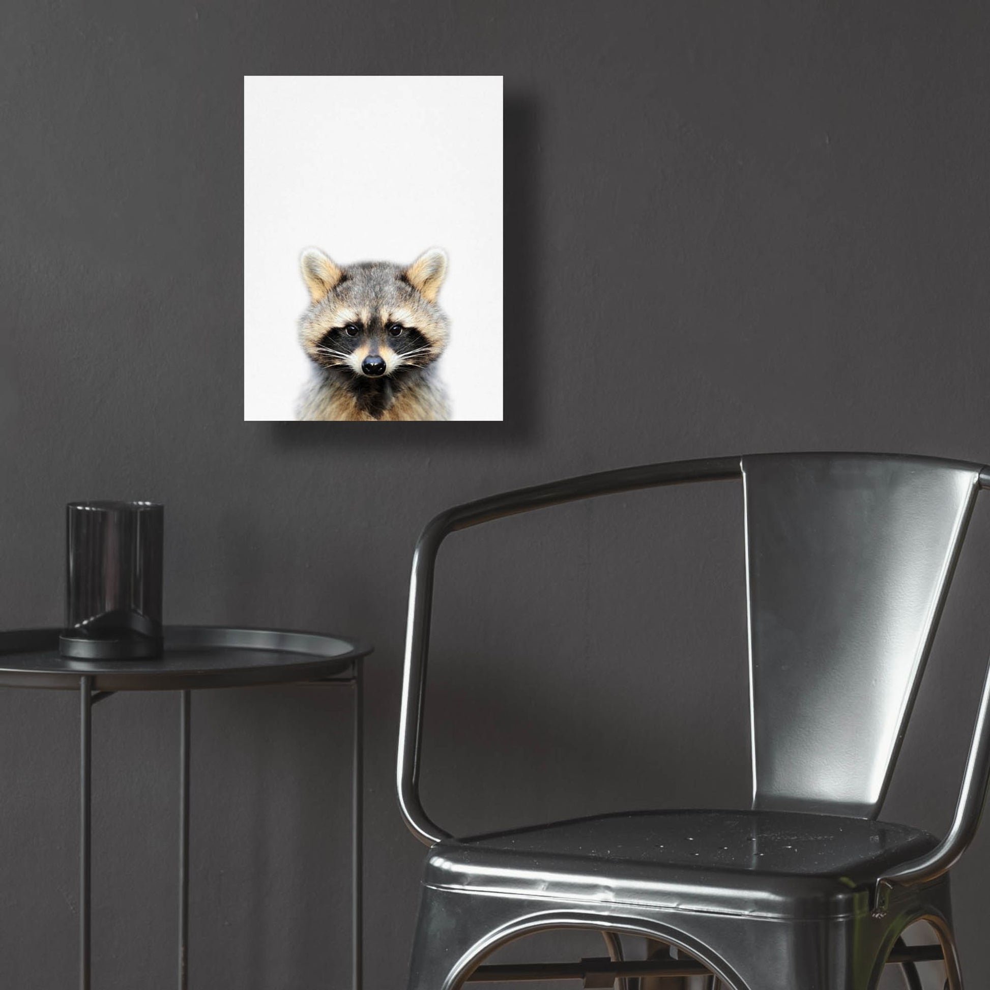 Epic Art 'Raccoon' by Tai Prints, Acrylic Glass Wall Art,12x16