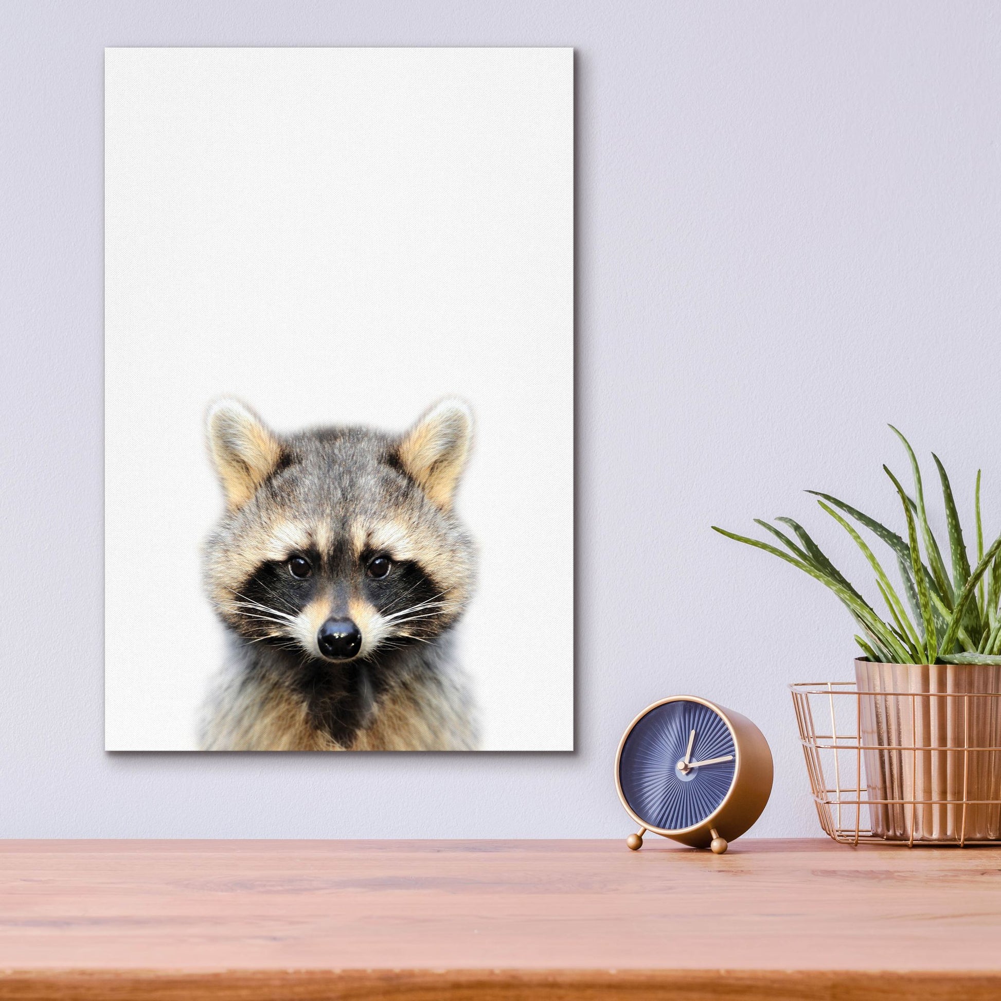 Epic Art 'Raccoon' by Tai Prints, Acrylic Glass Wall Art,12x16