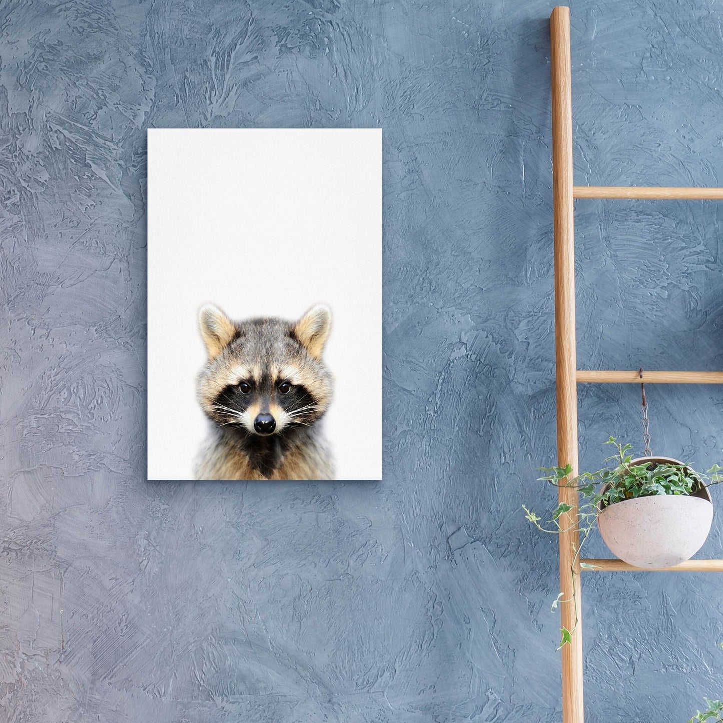 Epic Art 'Raccoon' by Tai Prints, Acrylic Glass Wall Art,16x24