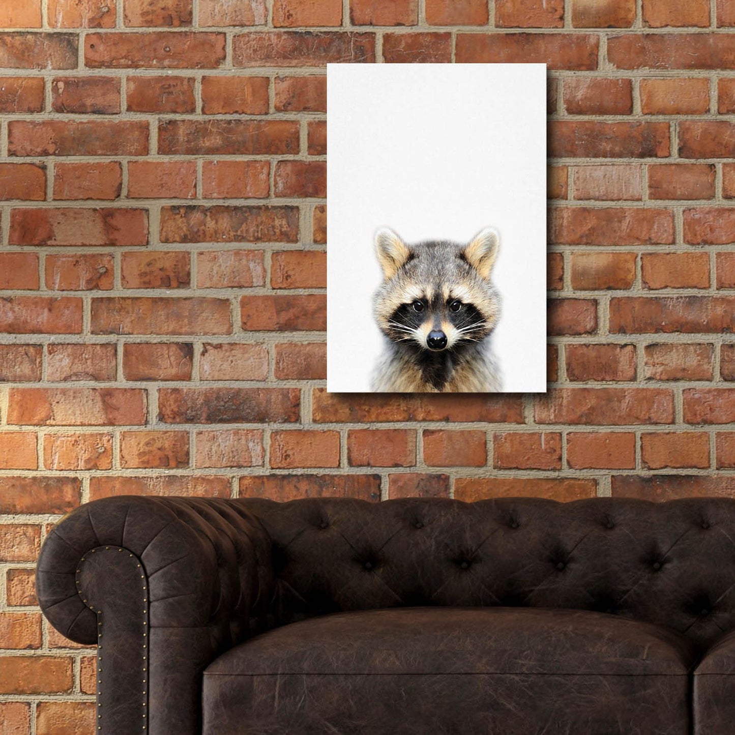 Epic Art 'Raccoon' by Tai Prints, Acrylic Glass Wall Art,16x24