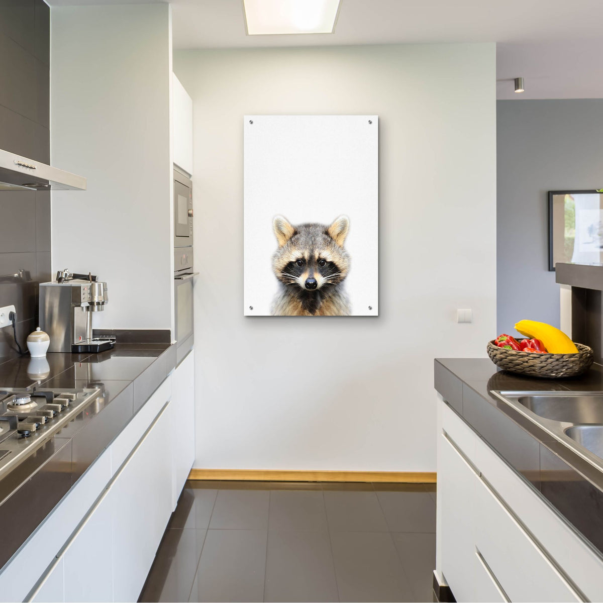 Epic Art 'Raccoon' by Tai Prints, Acrylic Glass Wall Art,24x36