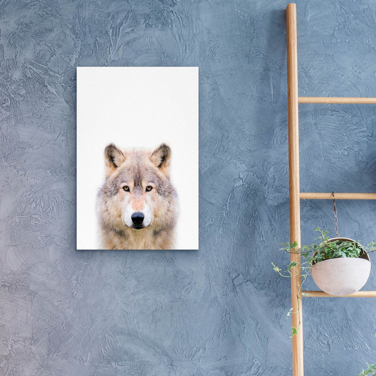 Epic Art 'Wolf' by Tai Prints, Acrylic Glass Wall Art,16x24