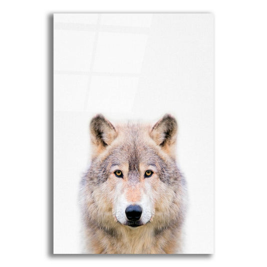 Epic Art 'Wolf' by Tai Prints, Acrylic Glass Wall Art