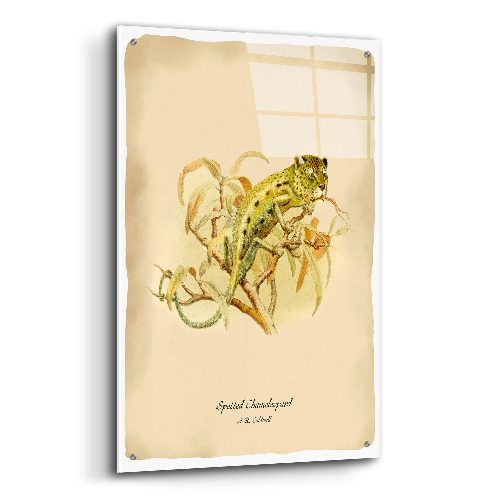 Epic Art 'Chameleopard' by Angela Tannehill, Acrylic Glass Wall Art,24x36