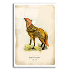 Griffox by Angela Tannehill acrylic glass wall art