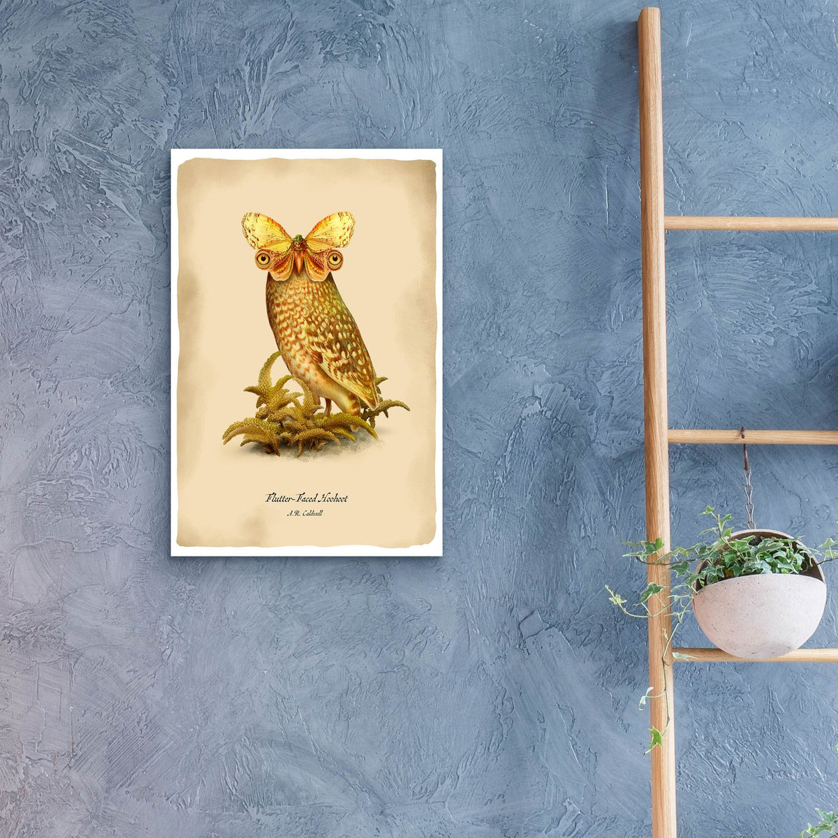 Epic Art 'Hoohoot' by Angela Tannehill, Acrylic Glass Wall Art,16x24