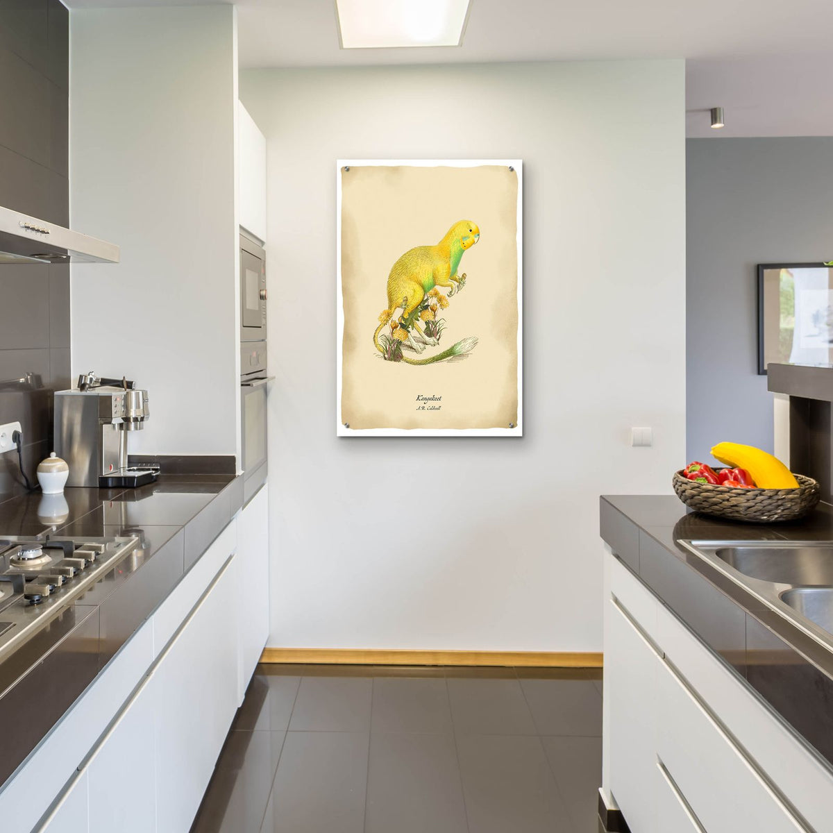 Kangakeet by Angela Tannehill - 24x36 acrylic wall art in a room