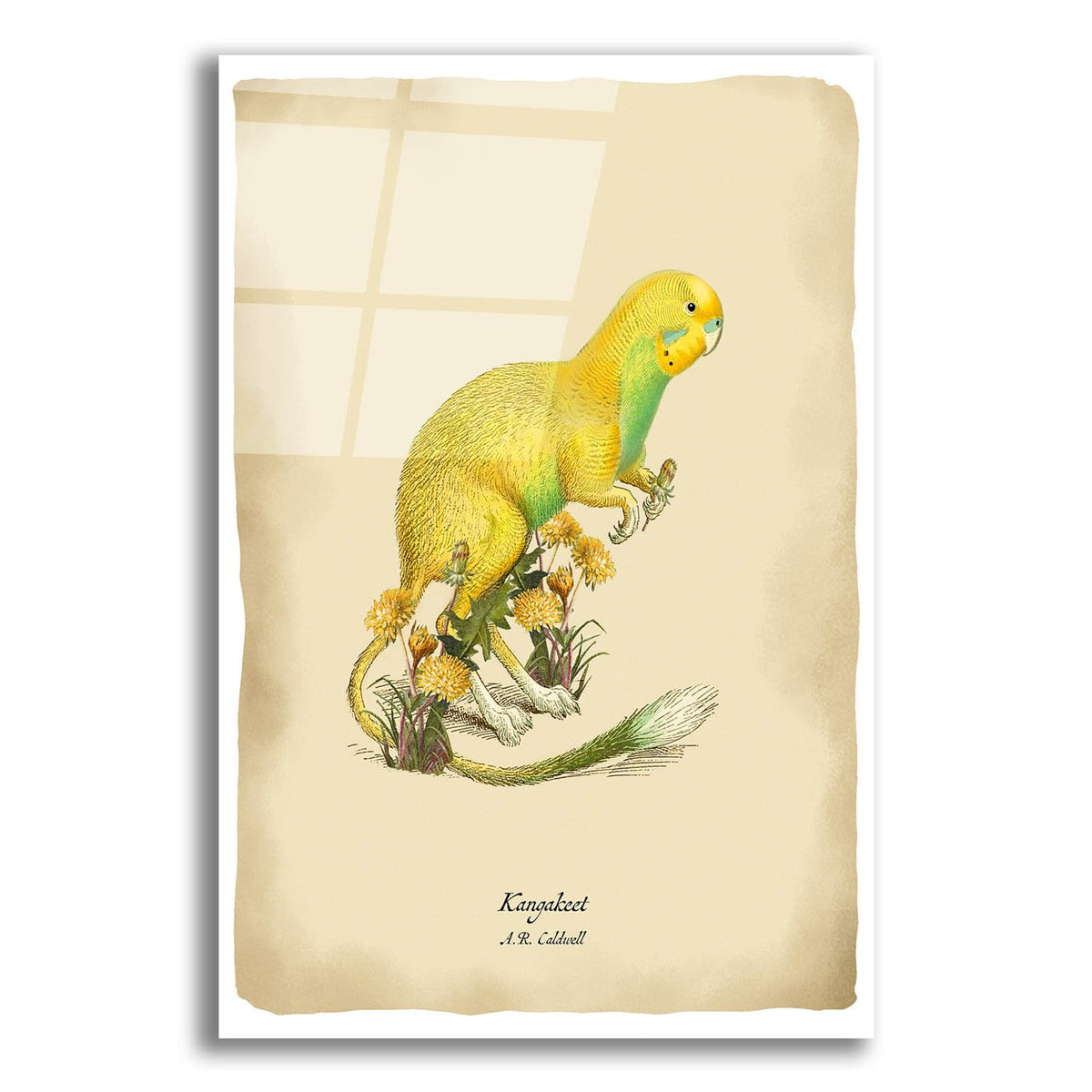 Kangakeet by Angela Tannehill acrylic glass wall art