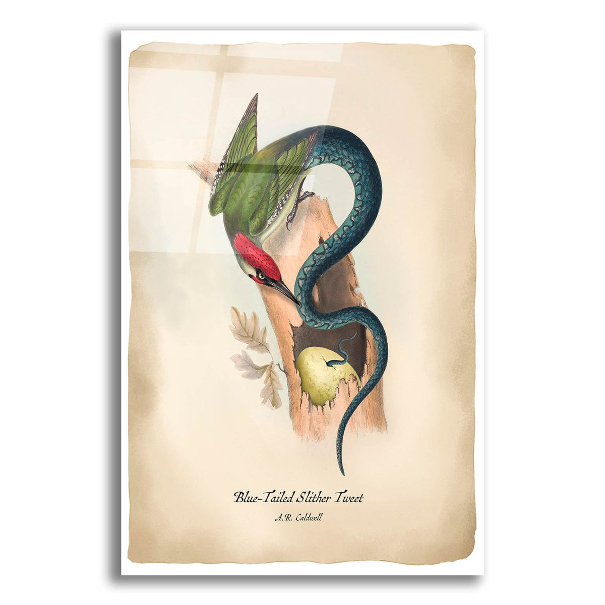 Slithertweet by Angela Tannehill acrylic glass wall art