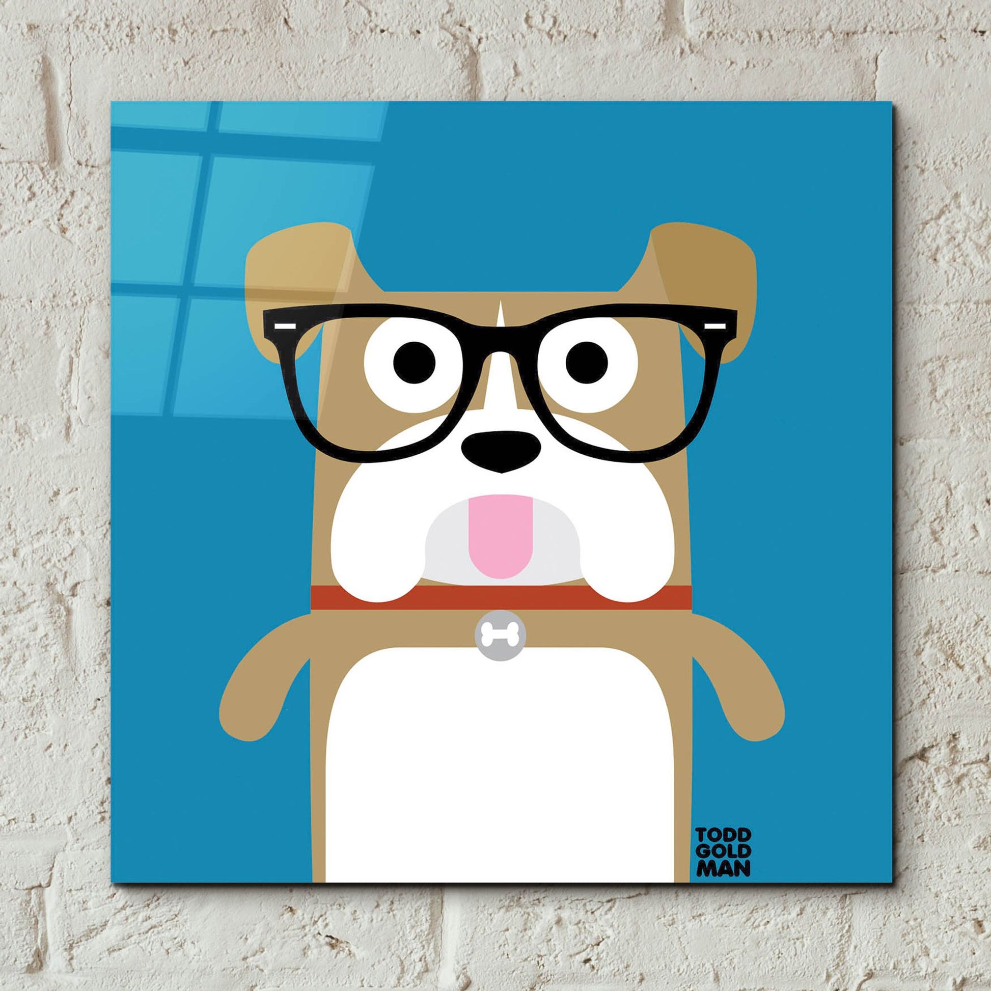 Epic Art 'Bow Wow Bulldog' by Todd Art, Acrylic Glass Wall Art,12x12