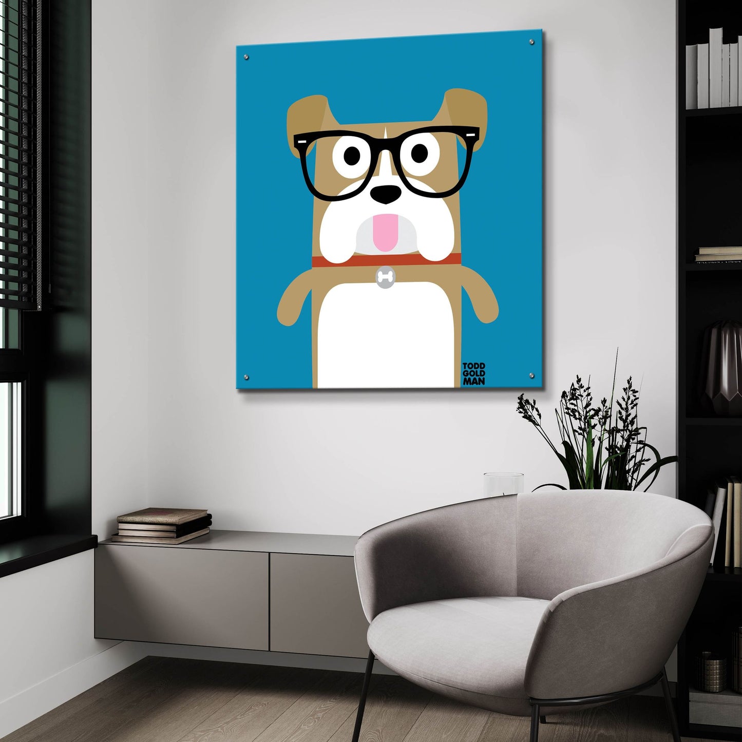 Epic Art 'Bow Wow Bulldog' by Todd Art, Acrylic Glass Wall Art,36x36