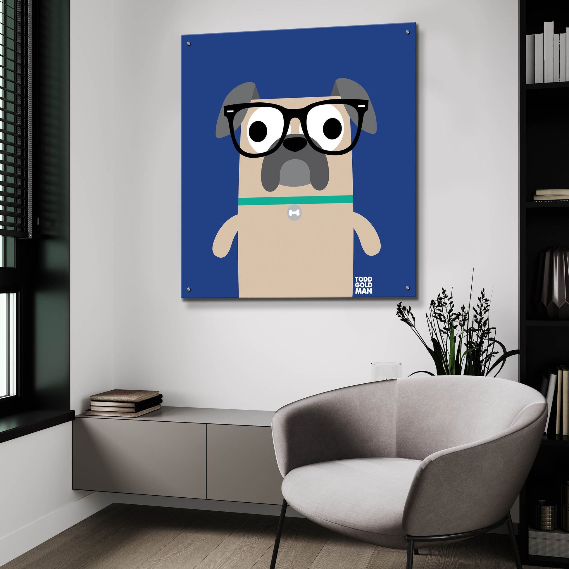 Epic Art 'Bow Wow Pug' by Todd Art, Acrylic Glass Wall Art,36x36