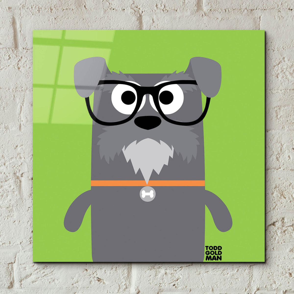 Epic Art 'Bow Wow Schnauzer' by Todd Art, Acrylic Glass Wall Art,12x12