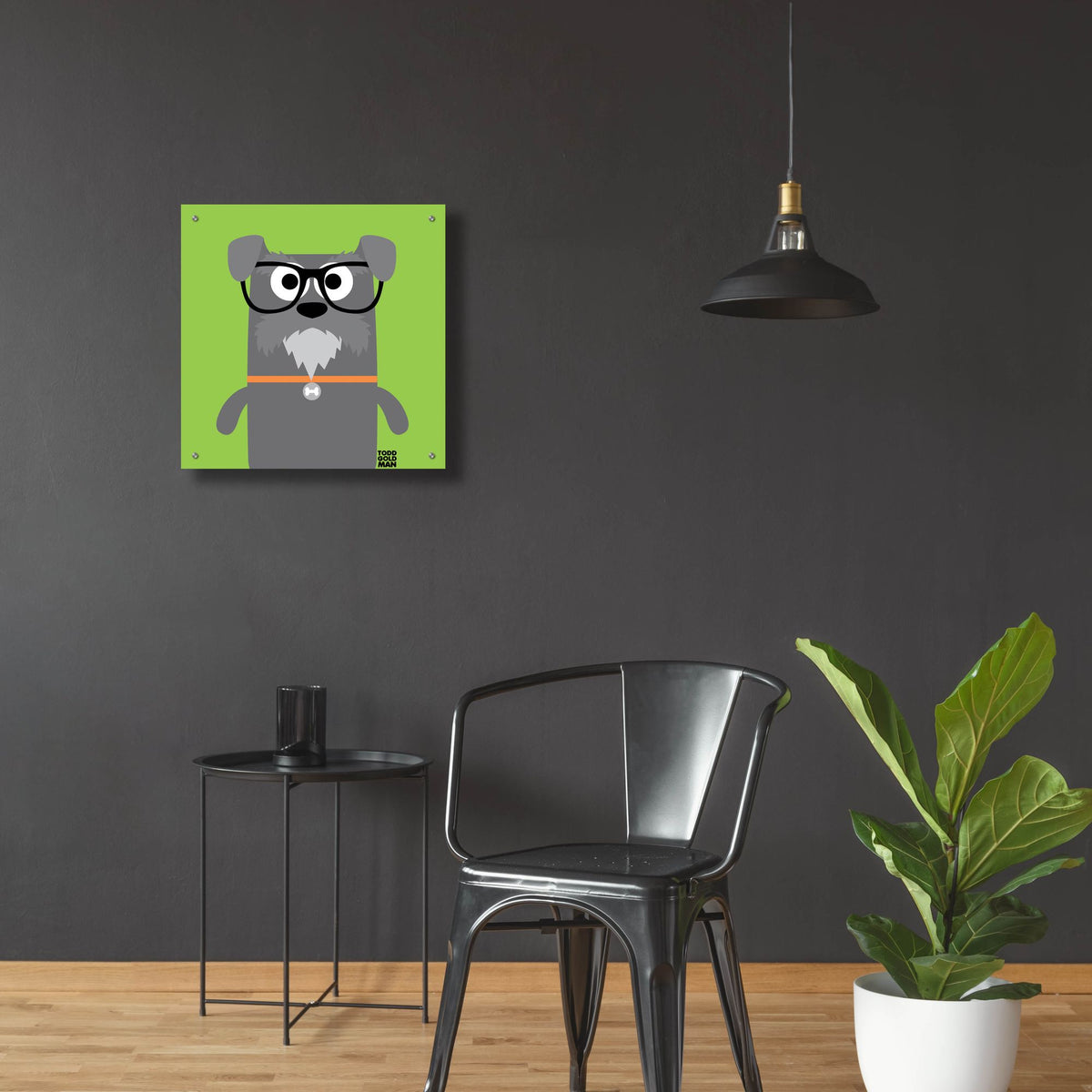 Epic Art 'Bow Wow Schnauzer' by Todd Art, Acrylic Glass Wall Art,24x24