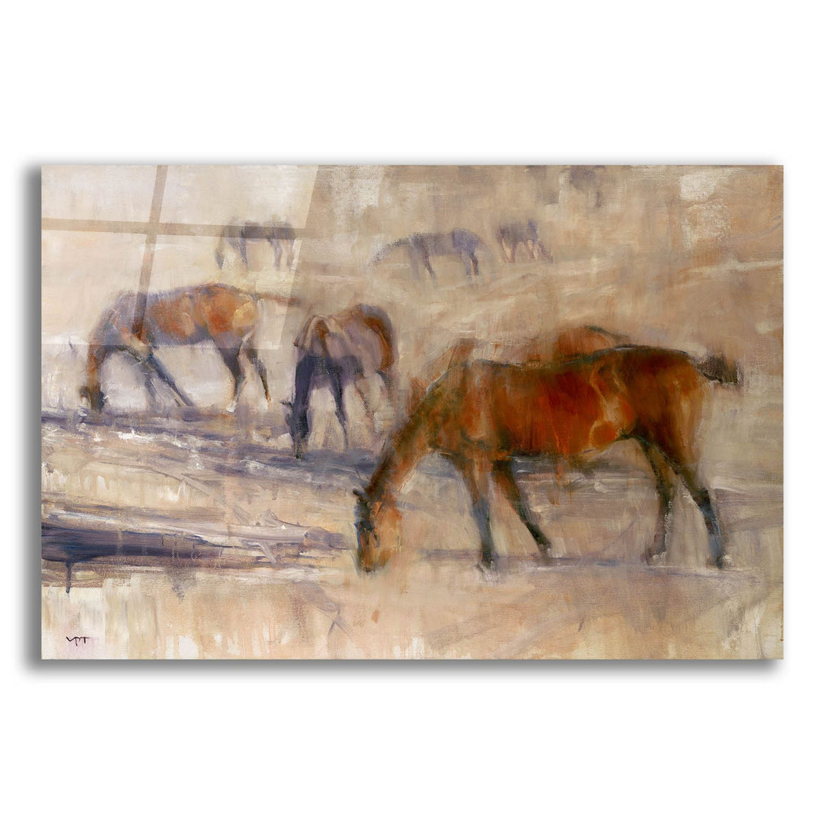 Epic Art 'Kentucky Morning 3' by Valtcho Tonov, Acrylic Glass Wall Art