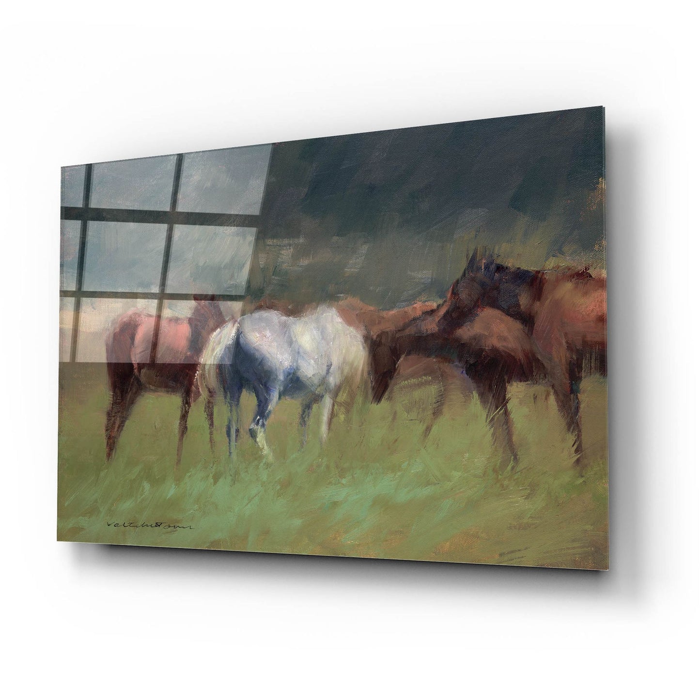 Epic Art 'Southern Horses' by Valtcho Tonov, Acrylic Glass Wall Art,24x16
