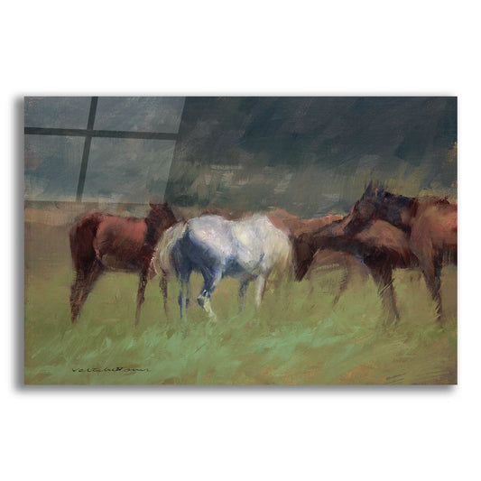 Epic Art 'Southern Horses' by Valtcho Tonov, Acrylic Glass Wall Art