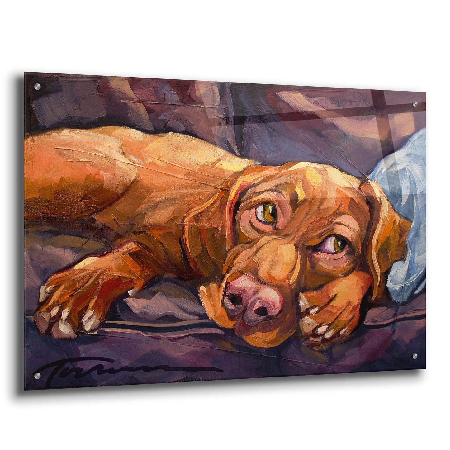 Epic Art 'Beauty Rest' by CR Townsend, Acrylic Glass Wall Art,36x24