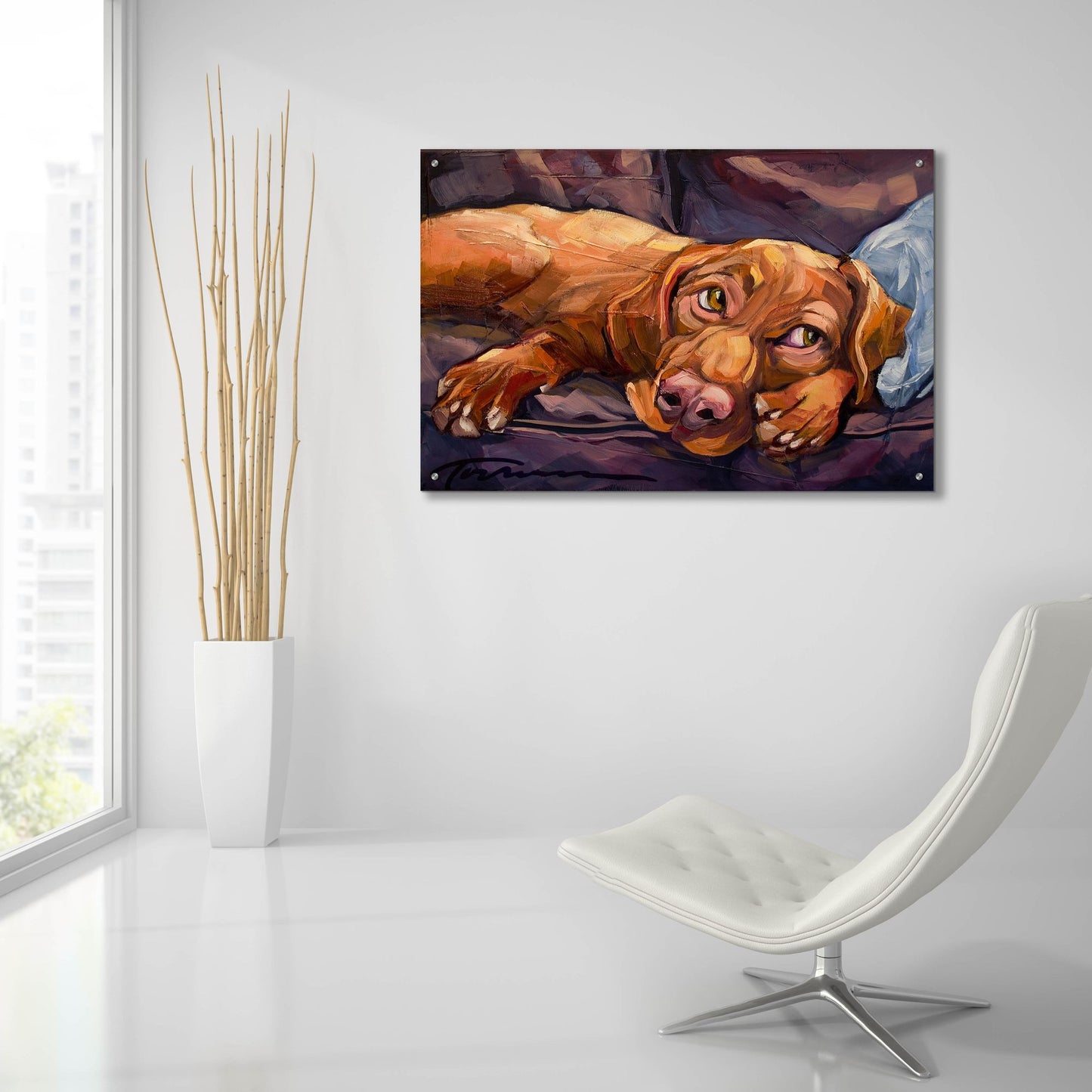 Epic Art 'Beauty Rest' by CR Townsend, Acrylic Glass Wall Art,36x24