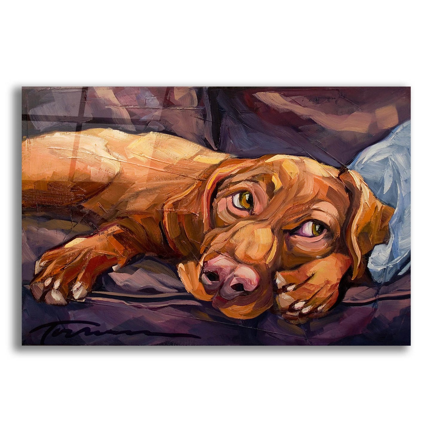 Epic Art 'Beauty Rest' by CR Townsend, Acrylic Glass Wall Art