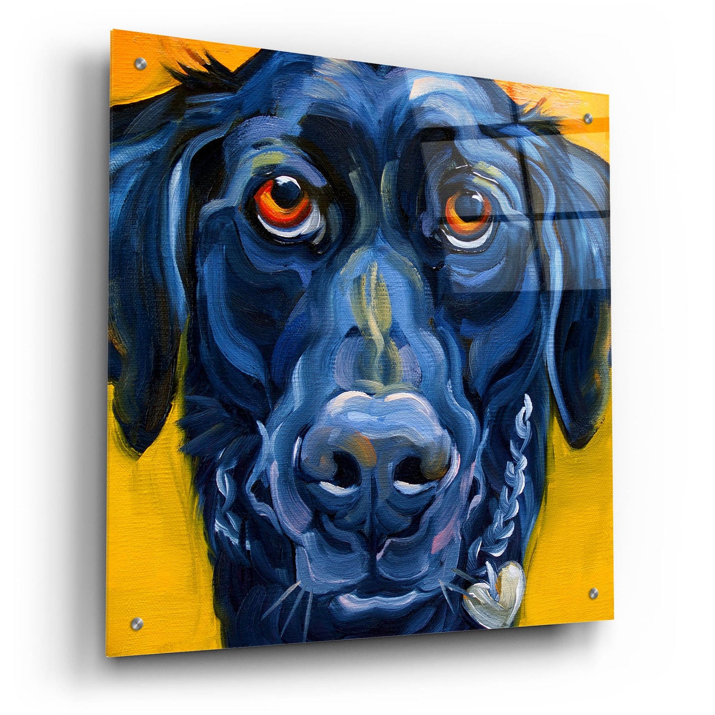 Epic Art 'Black Dog' by CR Townsend, Acrylic Glass Wall Art,24x24