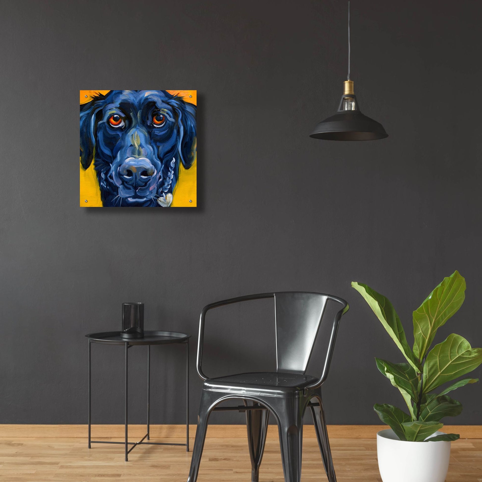 Epic Art 'Black Dog' by CR Townsend, Acrylic Glass Wall Art,24x24