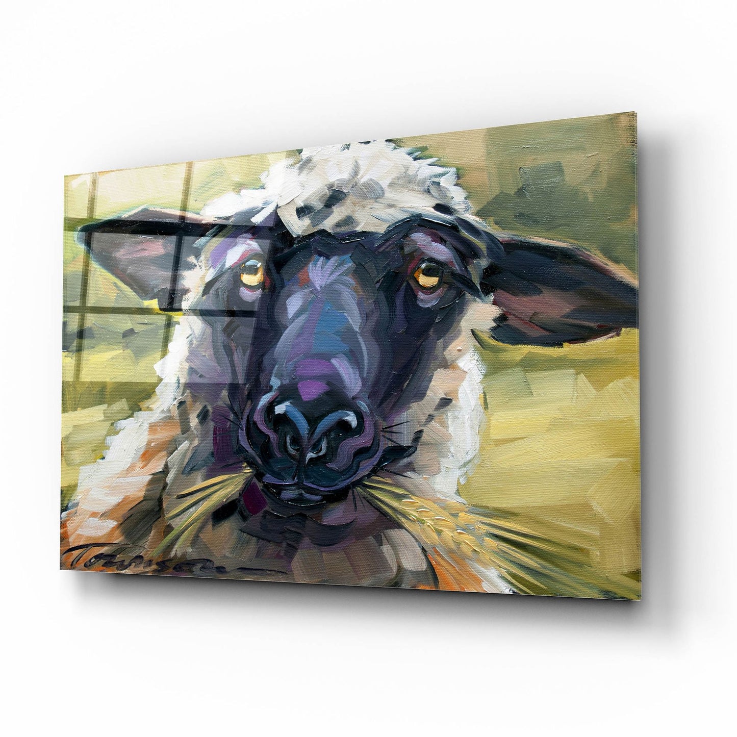 Epic Art 'Bless Ewe' by CR Townsend, Acrylic Glass Wall Art,16x12